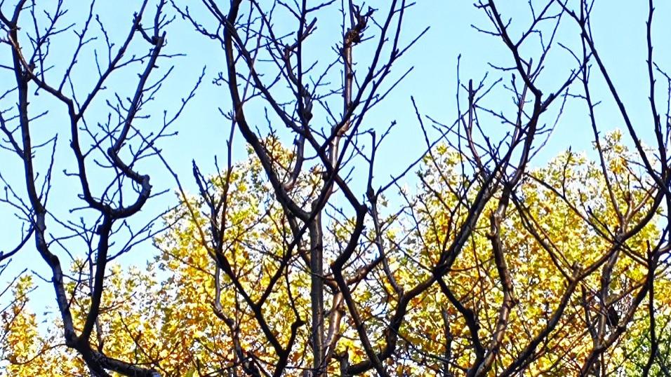 每到变化时：接住，就是你的好时代