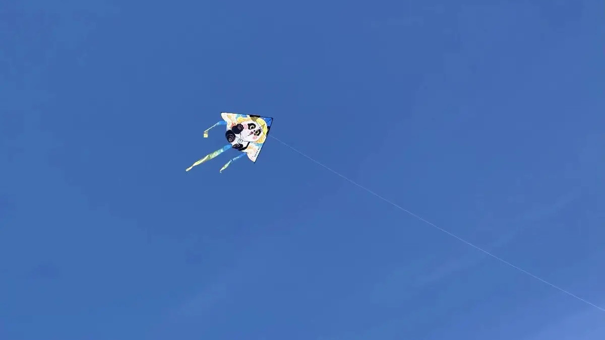 优秀的人，从不只靠天赋