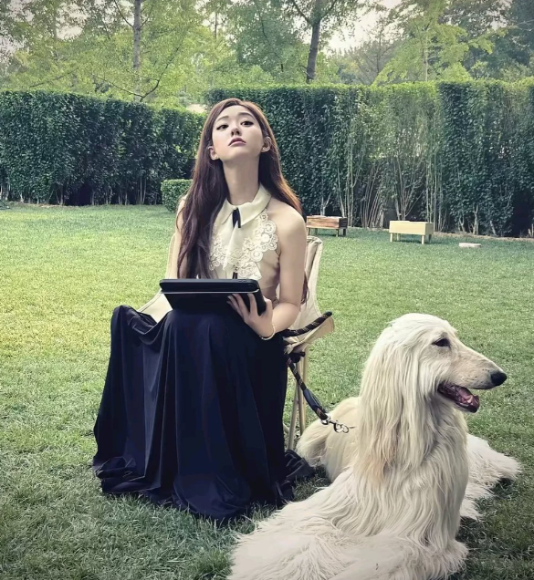 在柔软的云朵下翻飞，折出朦胧的光