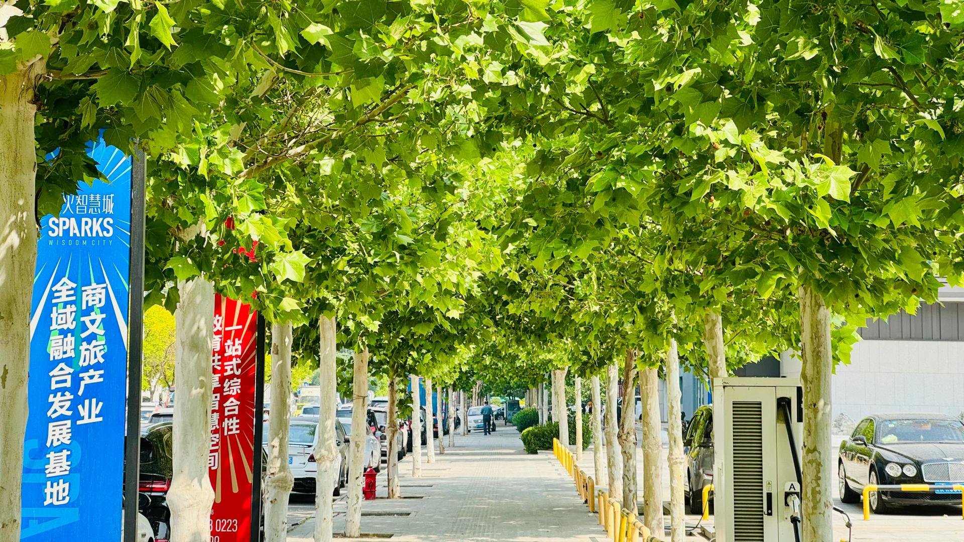 安遇情感咨询效果：前任只想做朋友，你可以这样挽回他