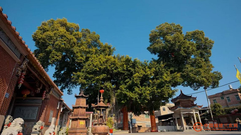 以龙之魂贺岁启新程——螺阳镇首部微剧《潜龙在村》主题曲《龙之一族》MV新春上线