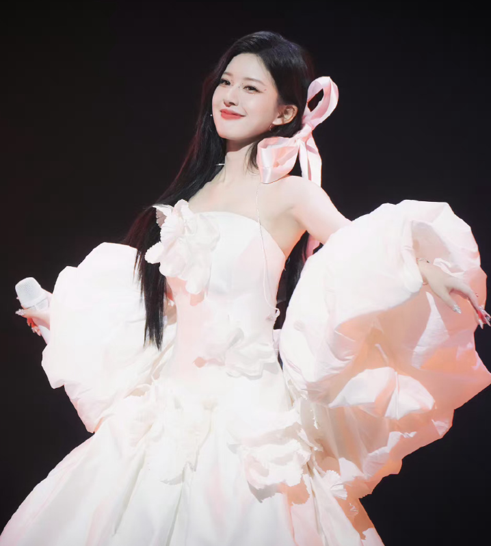 不再会去为谁装扮成玫瑰，而我要做自己的向日葵