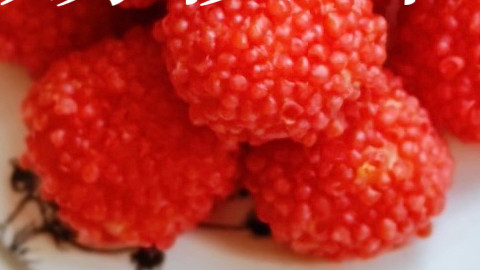 咬一口爆汁！这道红遍全网的“荔枝虾球”，酸甜Q弹，我家一周吃5次！