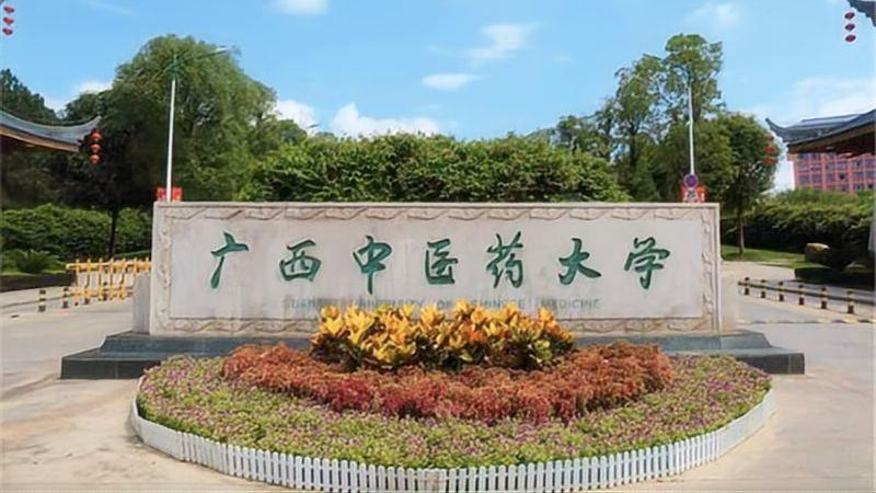 广西中医药大学就业好不好？凭实力撑起了学子的“就业底气”