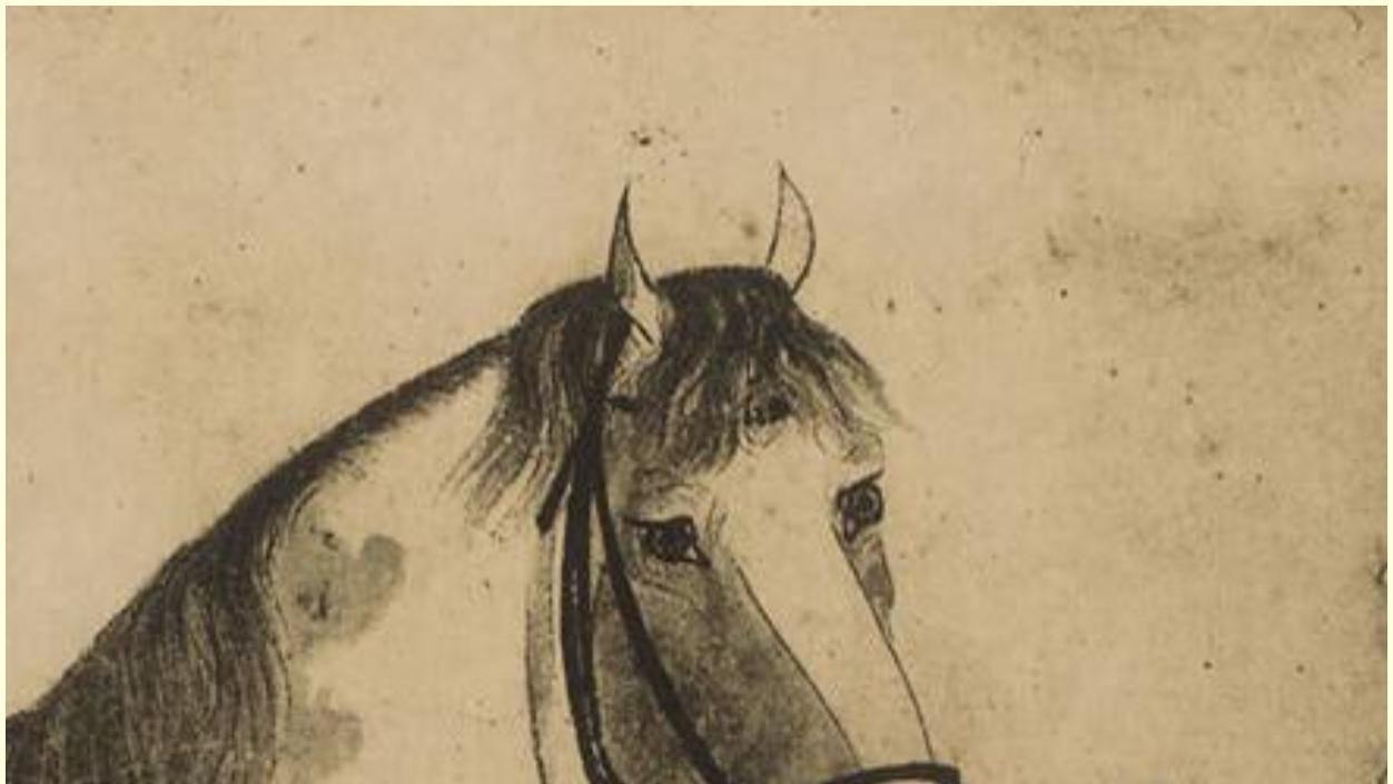 搞文化太内行，搞政治太外行