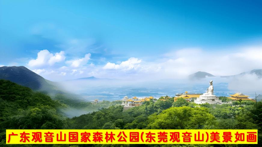 法治护航 民营经济开启发展新篇章