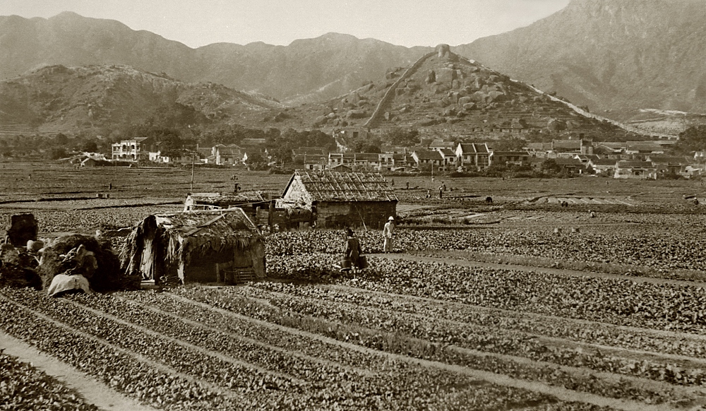  约1920年九龙寨城外的农田，后方可见一直伸延至白鹤山的寨城外墙。
