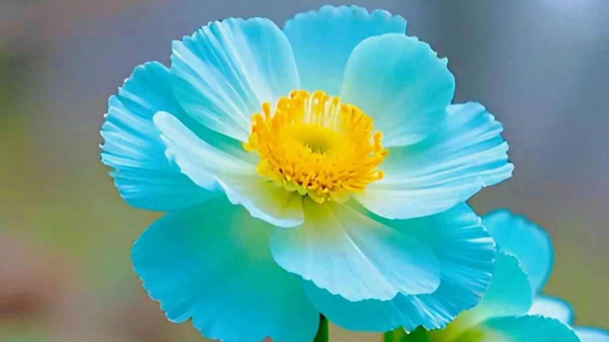 信息能少看就少看，生活能不比就不比，是非能躲开就躲开