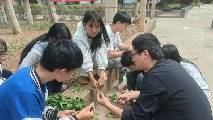 产教融合育巧匠，技能提升促发展——宜良县总工会助推三角梅产业工人技能提升在行动