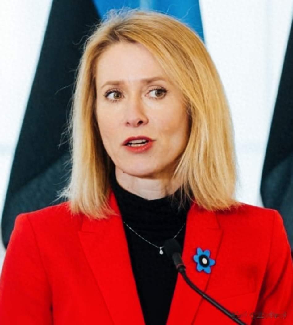 欧盟外长对华强硬却向特朗普恳求,被指虚伪短视