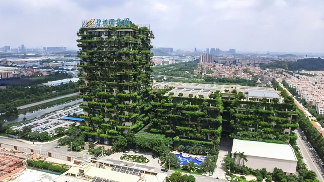 房产巨头碧桂园2025年扭亏为盈了，净利润超10亿