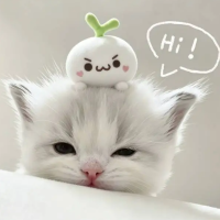 猫语翻译官