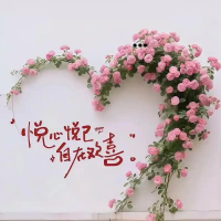 壮乡胖妹