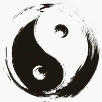 戏水鸥