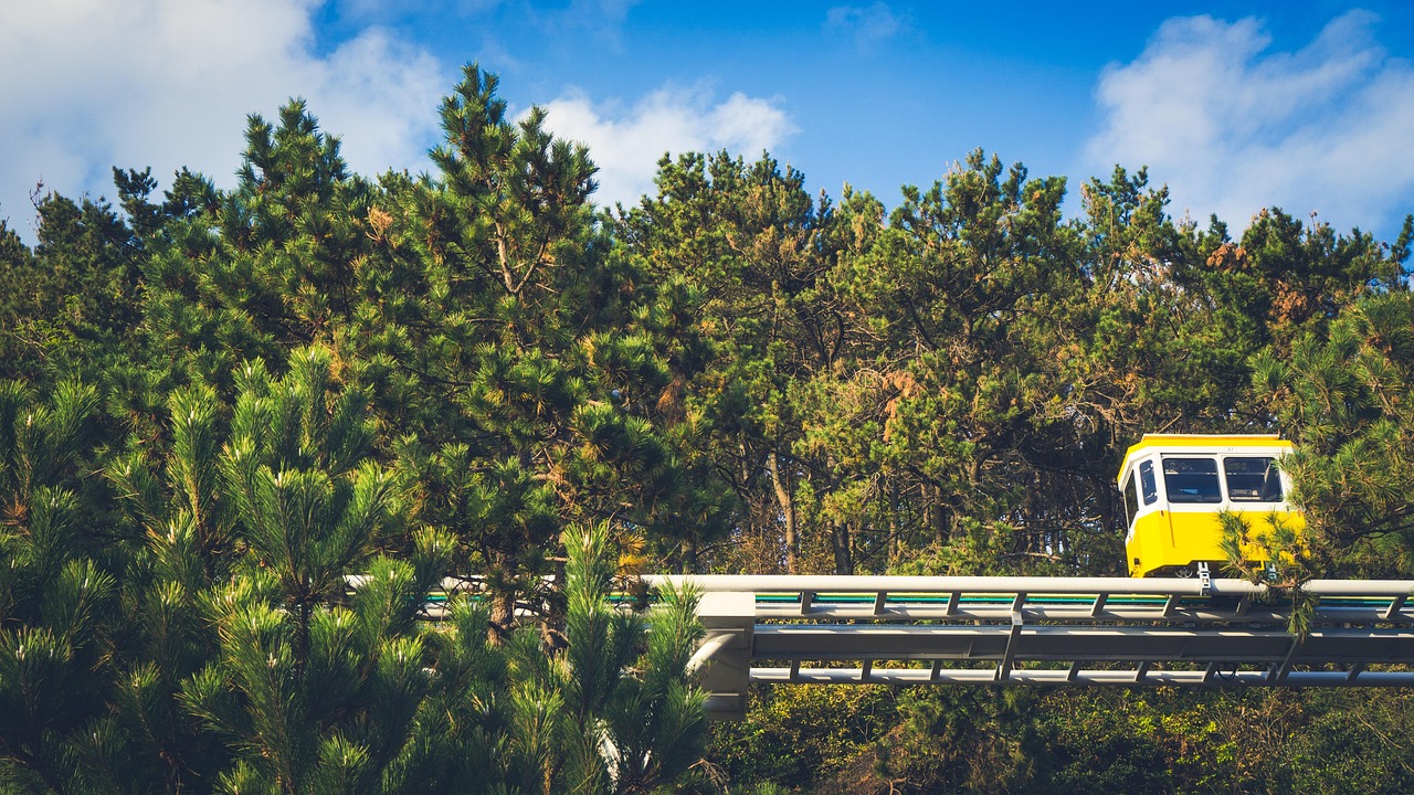 韩国10年签大放宽！从首尔到釜山，让你说走就走