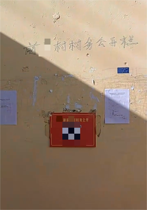 栏上空白，票下暗投：一场结果先于流程的无效选举