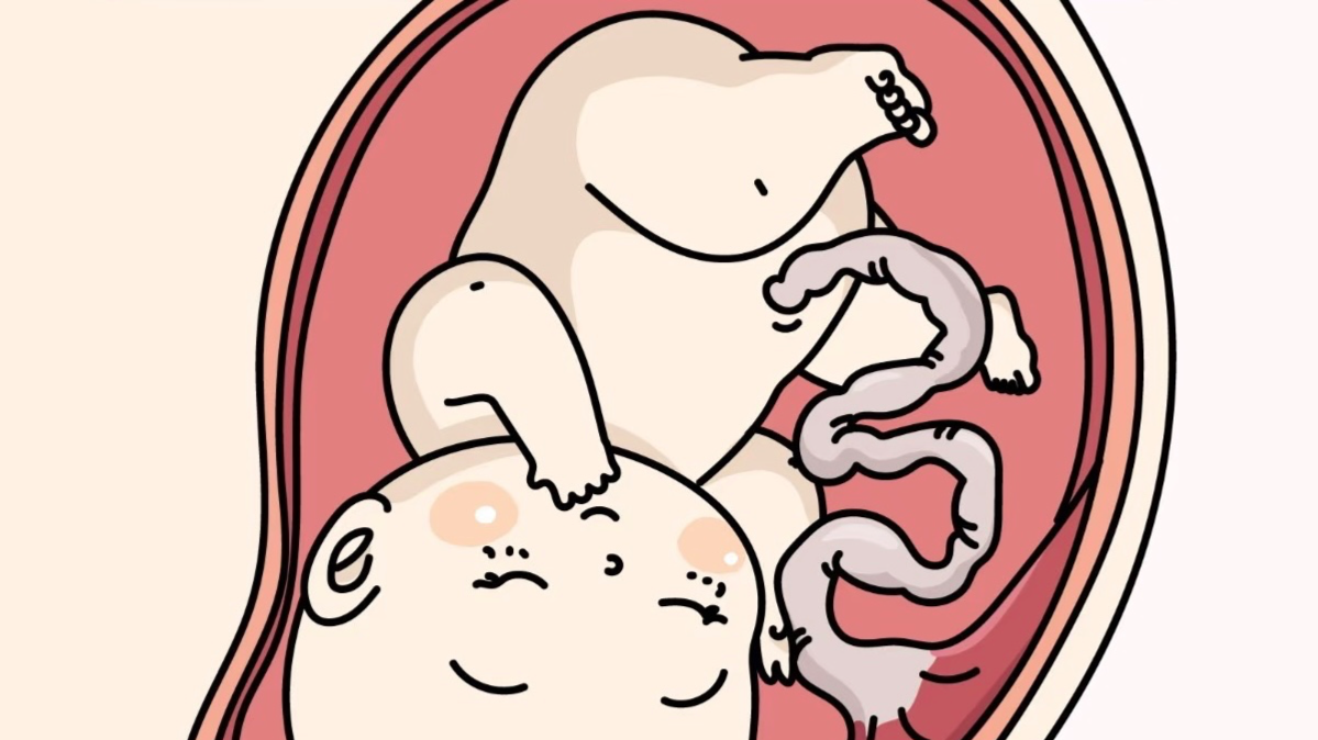 脐带血：一份生命的备份，只得为孩子留存吗？