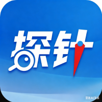 探针
