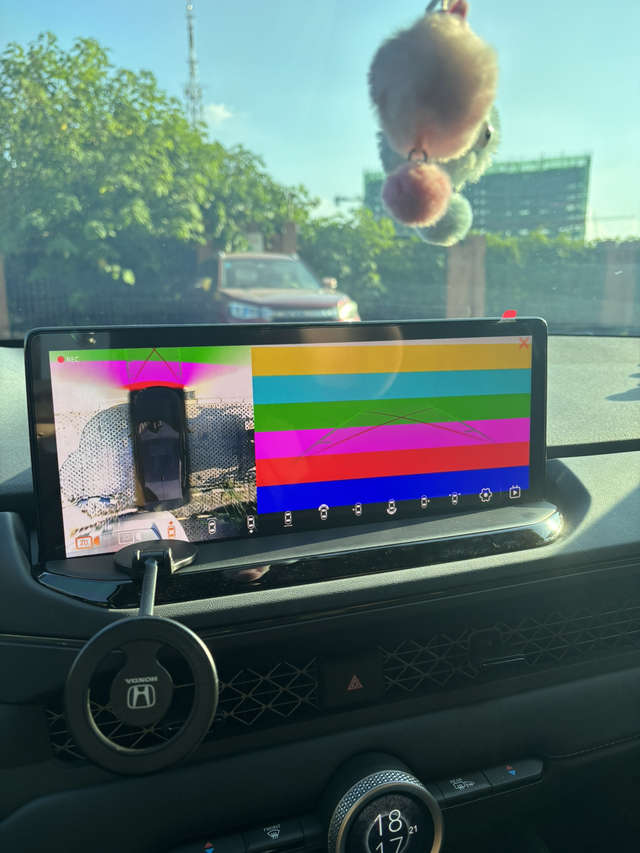 刚提40天倒车就出现问题了
咨询下大家，出现这种情况是什么原因？