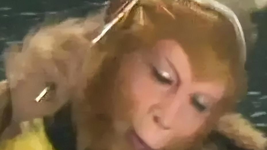 孙悟空应该有痛觉神经吗，这个问题关乎官商