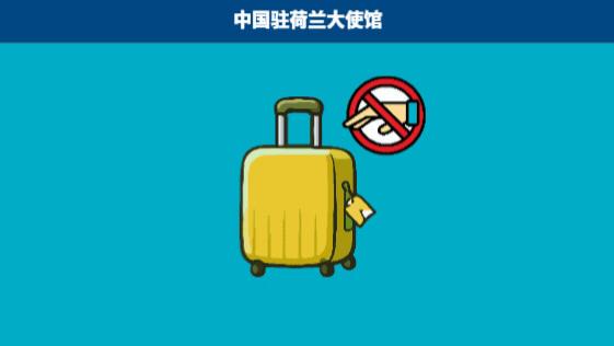 在荷典型领事保护系列之案例（四）：一下飞机即被盗