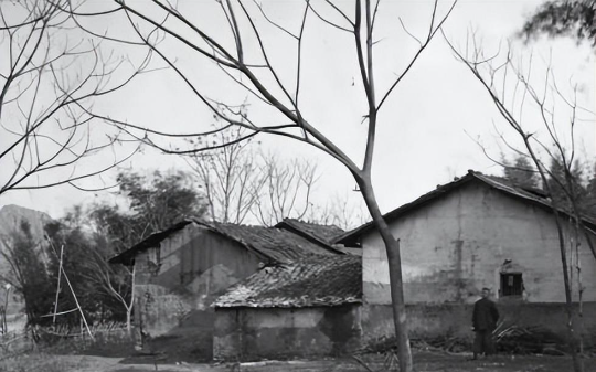 民国故事：山东一富家女婚前被劫，匪徒欲借腹生子，一枚手帕现真凶