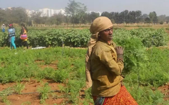 一千六百种语言、五百多个土邦、两亿穆斯林：印度凭什么不散架