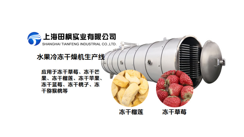 果蔬冷冻干燥机生产线：草莓冻干案例