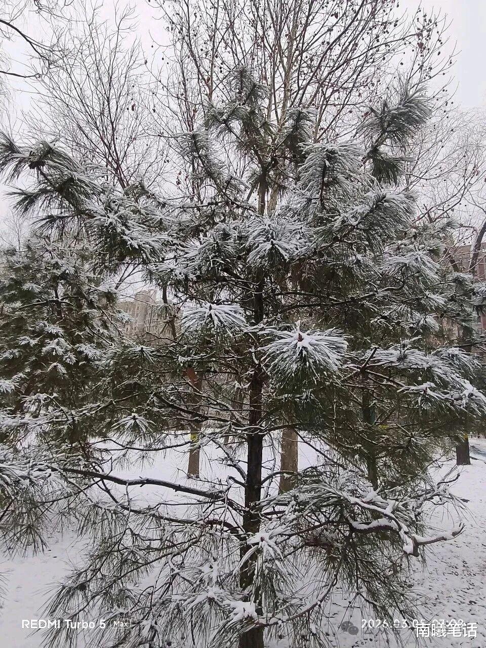 人生笔话: 君子三思而后行: 思危·思退·思变