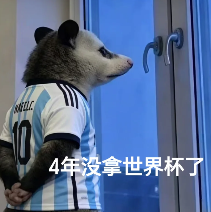 阿迷托佛，梅西4年没拿世界杯了，距离上次夺冠已经整整过去4年了，要不要再拿一个？