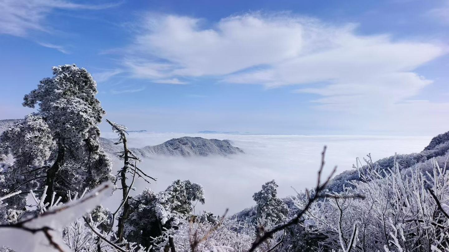 南方雪景天花板！杭州百丈岭冬日秘境