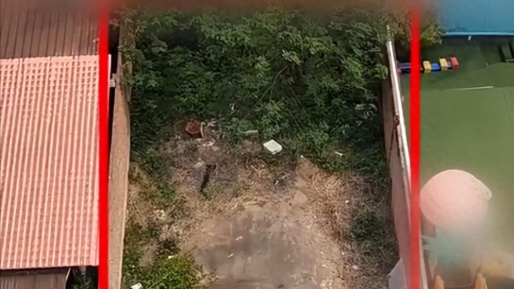 广西钦州七旬老人周女士，20 年前带头违建圈地，如今反被自家墙堵死后路，只能举报自己求拆除