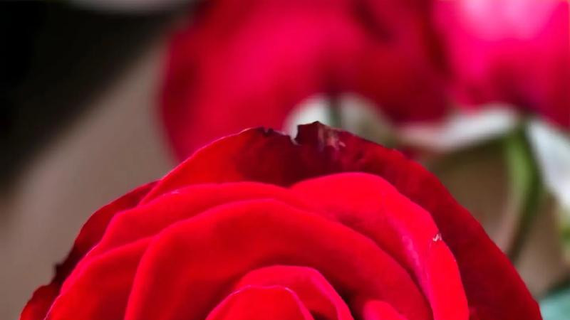 男人主动跟你断链，不再见你，最好的做法是这样