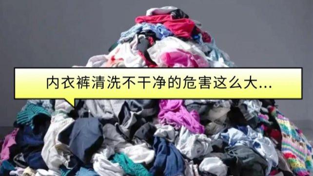 石头内衣裤洗衣机怎么洗？超全2026年内衣裤洗衣机排行榜分享，含石头/希亦/小米等知名品牌