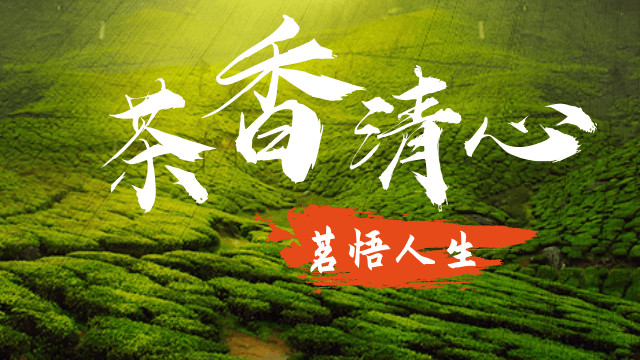 西湖龙井（绿茶皇后）：乾隆的“御前十八棵”，狮龙云虎梅