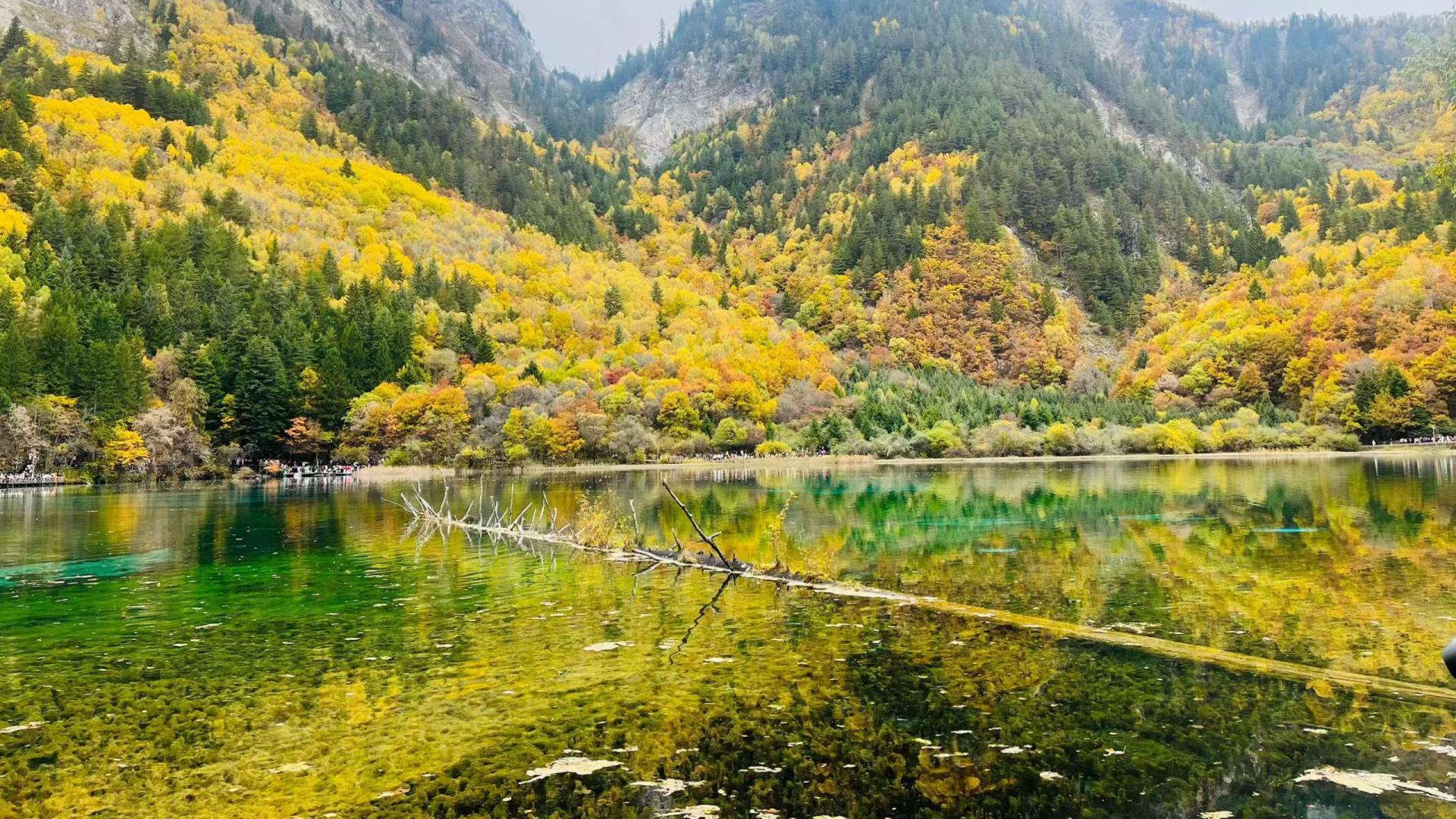 拍拍灯随机振动测试适用标准及判定要求