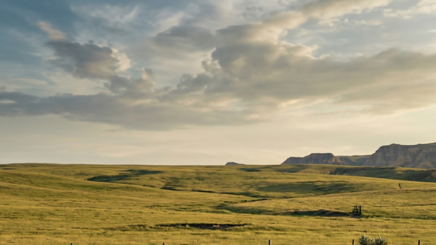 上镜感拉满！全新smart精灵6号蓝色车漆复刻时尚滤镜色