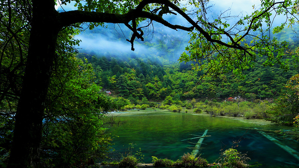 《吸引力法则》：你的思想，正在创造现实