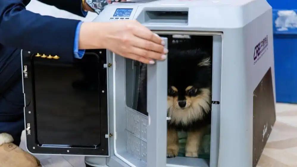 高铁宠物托运服务，能否对宠物更友好？