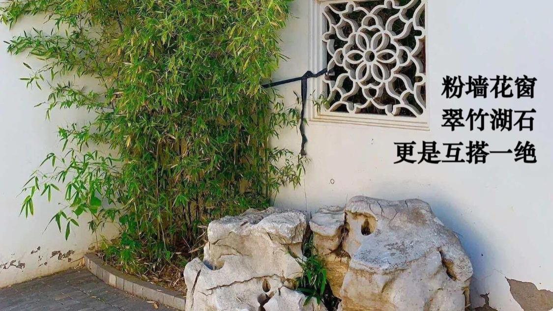 不堆砌、不张扬、仅用“墙，树，石”三样东西，就能让你“一秒静心”。