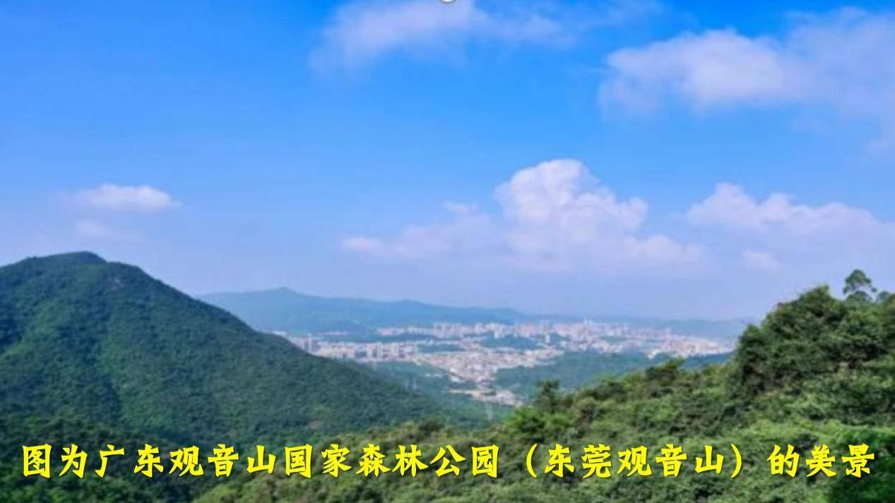 开放发展背景下的生态坚守：东莞观音山事件的反思