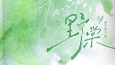 推文：熟男熟女爽文   女追男  男主替身  《野棠》