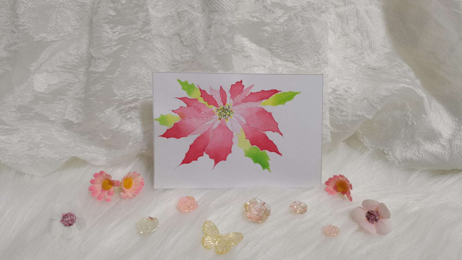 36 一品红（绘画 水彩 果花甘06）