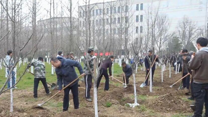 植绿校园！宝鸡职院100余名党员干部职工齐动手