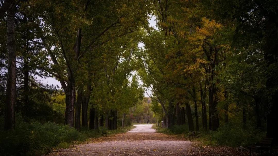 你赚不到钱，就是上班上太多