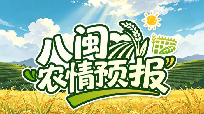 午后强对流突袭！福建农户要注意！