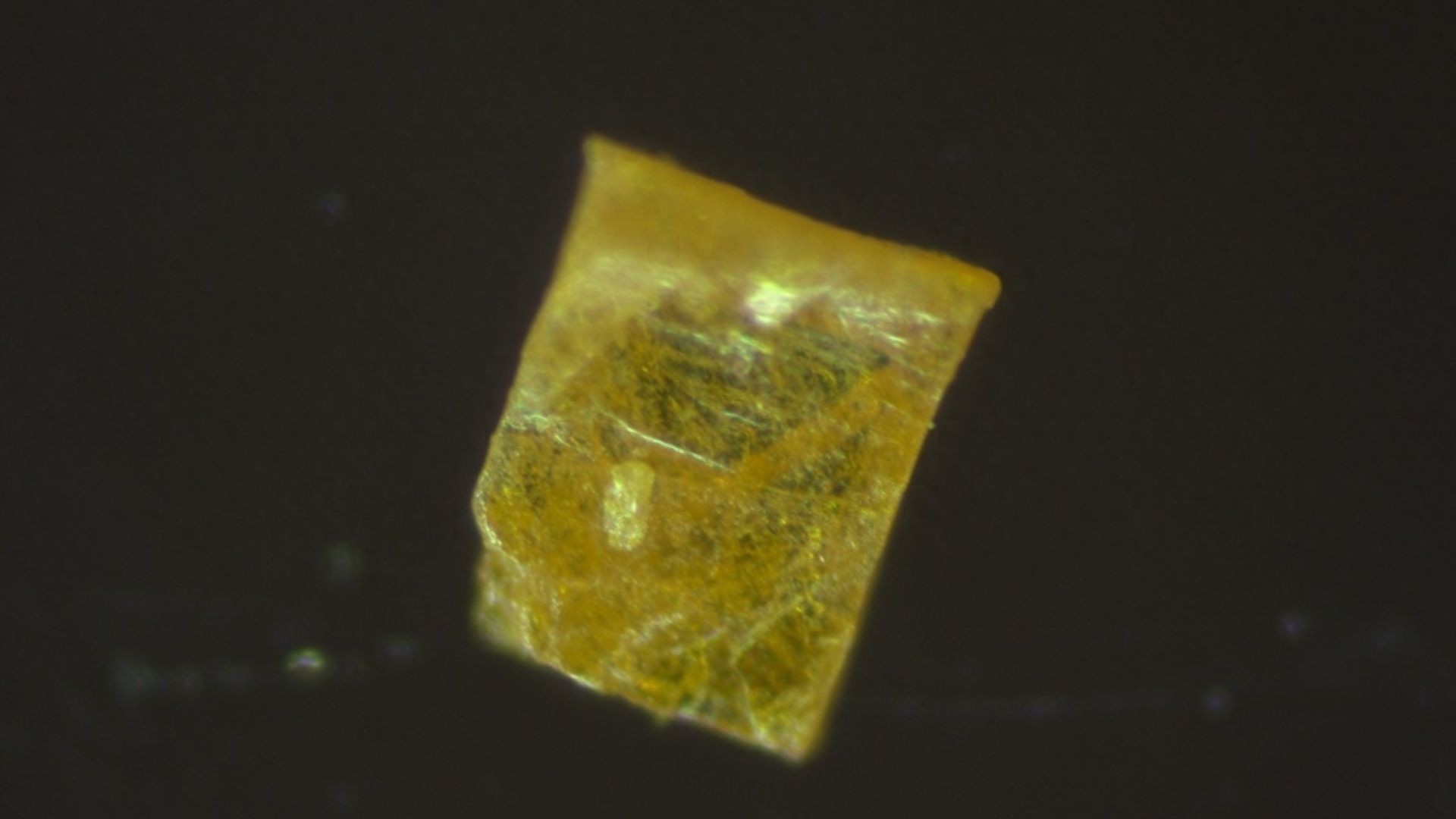 科学家在半导体中发现难以捉摸的希格斯模式