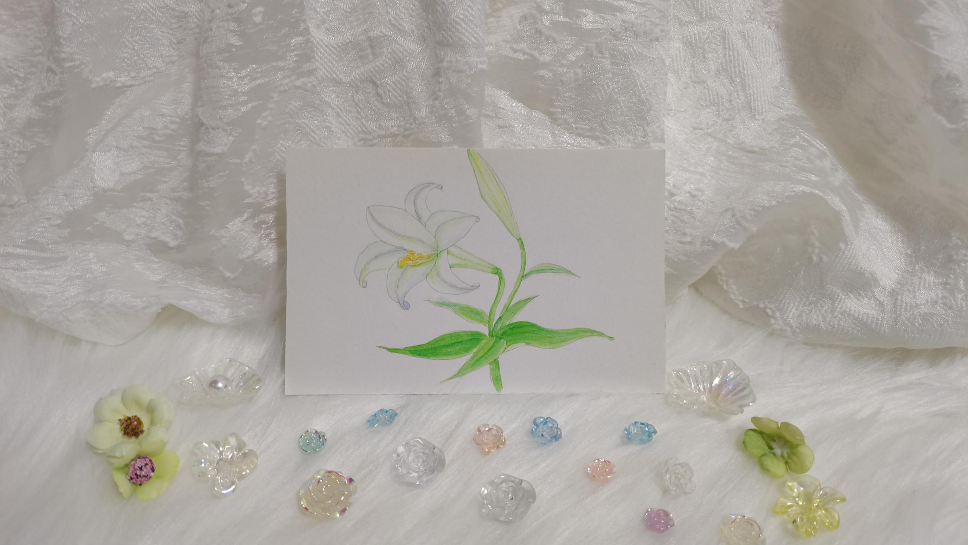 64 百合（绘画 水彩 果花甘06）