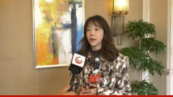 聚焦发展 陕西雅兰纺织集团副总裁屈娇为碑林文化消费升级建言献策