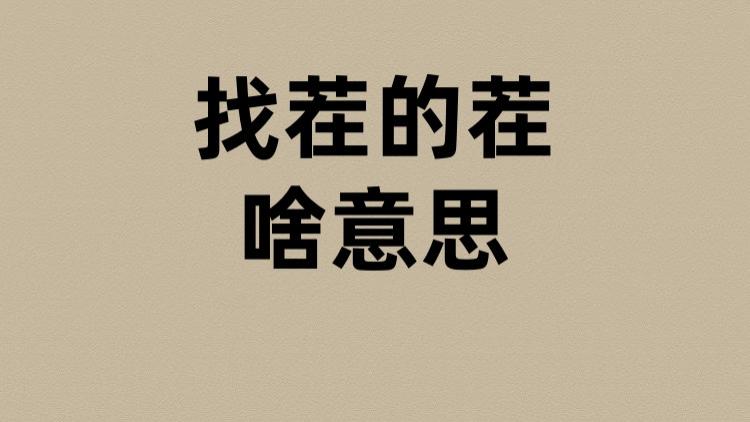 找茬的茬是啥意思？